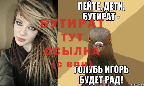 крисы Корсаков