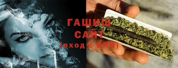 крисы Корсаков