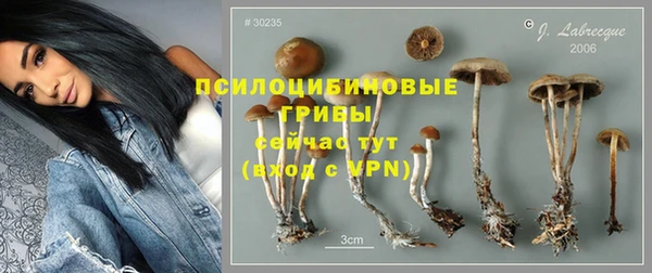 прущая мука Краснослободск