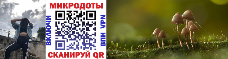 Купить закладки  Партизанск  Псилоцибиновые грибы Psilocybine cubensis 