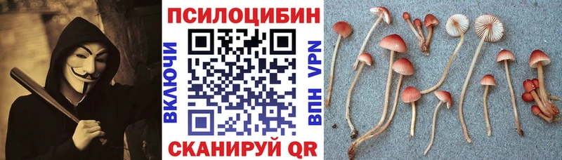 Псилоцибиновые грибы мухоморы Партизанск